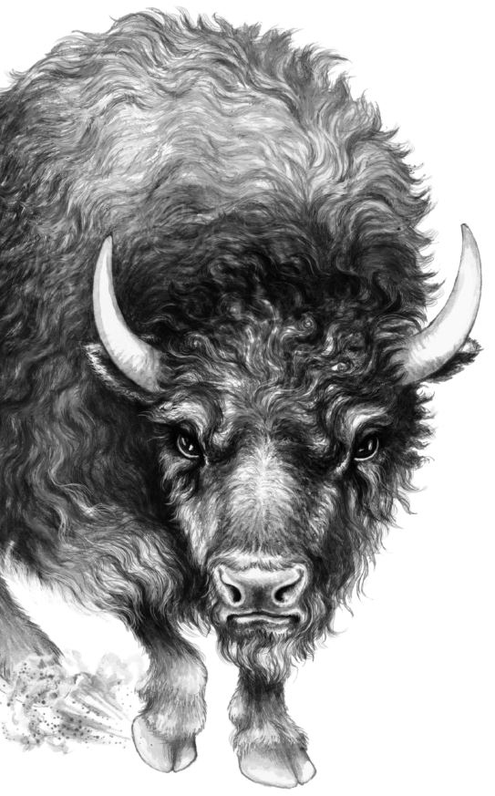 Иллюстрация к книге — Месть пумы [i_083.jpg]