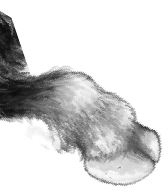 Иллюстрация к книге — Месть пумы [i_084.jpg]