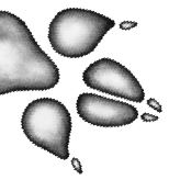 Иллюстрация к книге — Месть пумы [i_086.jpg]