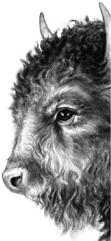 Иллюстрация к книге — Месть пумы [i_095.jpg]