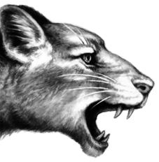 Иллюстрация к книге — Месть пумы [i_096.jpg]