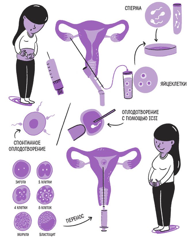 Иллюстрация к книге — Эндометриоз. Как разобраться в причинах и симптомах и позаботиться о себе в повседневной жизни [i_015.jpg]