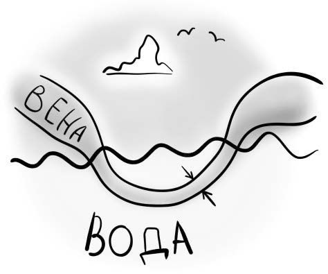 Иллюстрация к книге — PRO здоровье. Перевод с медицинского на человеческий [i_010.jpg]