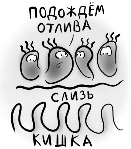 Иллюстрация к книге — PRO здоровье. Перевод с медицинского на человеческий [i_054.jpg]