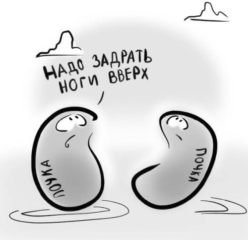 Иллюстрация к книге — PRO здоровье. Перевод с медицинского на человеческий [i_058.jpg]