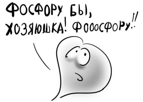Иллюстрация к книге — PRO здоровье. Перевод с медицинского на человеческий [i_081.jpg]