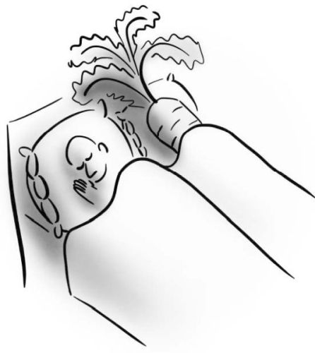 Иллюстрация к книге — PRO здоровье. Перевод с медицинского на человеческий [i_082.jpg]