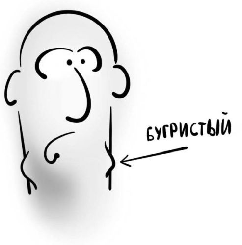 Иллюстрация к книге — PRO здоровье. Перевод с медицинского на человеческий [i_096.jpg]