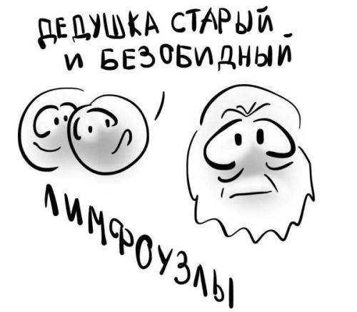 Иллюстрация к книге — PRO здоровье. Перевод с медицинского на человеческий [i_097.jpg]