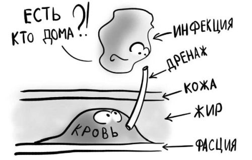 Иллюстрация к книге — PRO здоровье. Перевод с медицинского на человеческий [i_100.jpg]