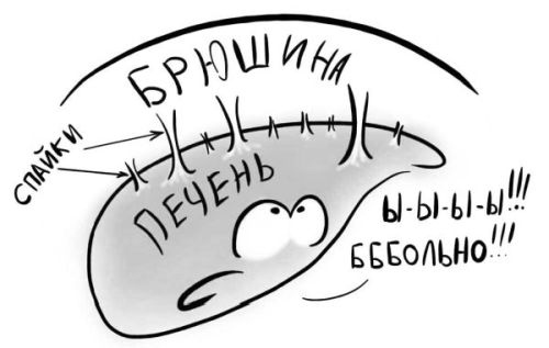 Иллюстрация к книге — PRO здоровье. Перевод с медицинского на человеческий [i_101.jpg]