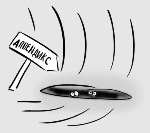 Иллюстрация к книге — PRO здоровье. Перевод с медицинского на человеческий [i_103.jpg]