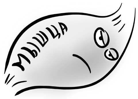 Иллюстрация к книге — PRO здоровье. Перевод с медицинского на человеческий [i_109.jpg]