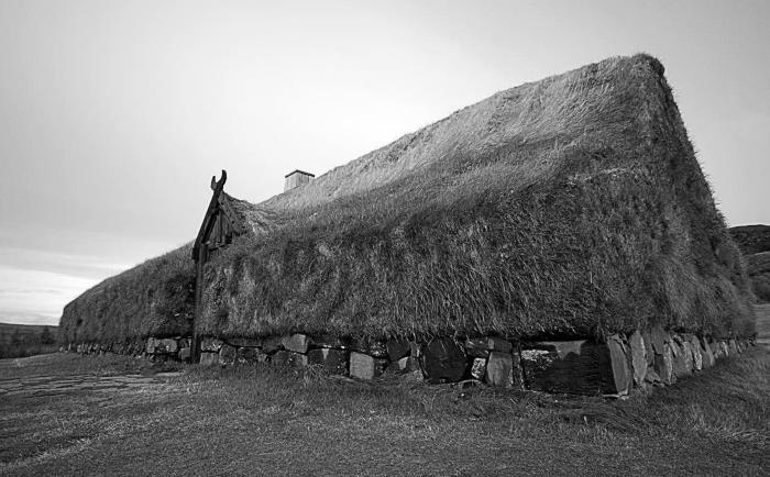 Иллюстрация к книге — Викинги [i_037.jpg]