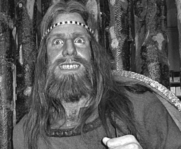 Иллюстрация к книге — Викинги [i_061.jpg]