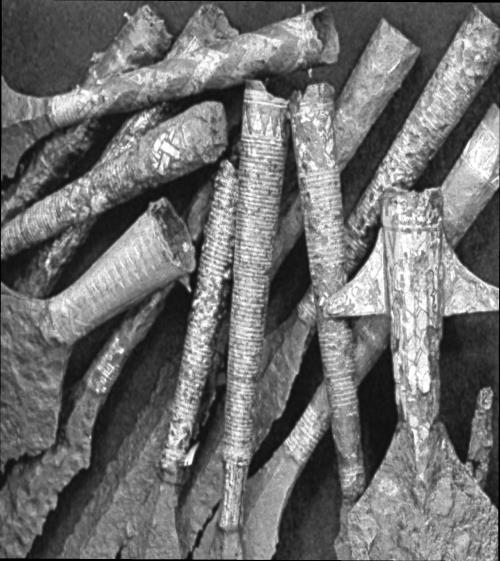 Иллюстрация к книге — Викинги [i_181.jpg]