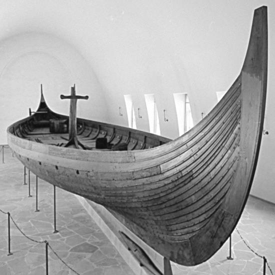 Иллюстрация к книге — Викинги [i_210.jpg]