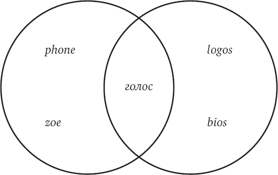Иллюстрация к книге — Голос и ничего больше [i_005.jpg]