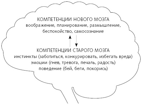 Иллюстрация к книге — Любовь живет вечно. Как преодолевать сложности и сохранять близость в длительных отношениях [i_012.jpg]
