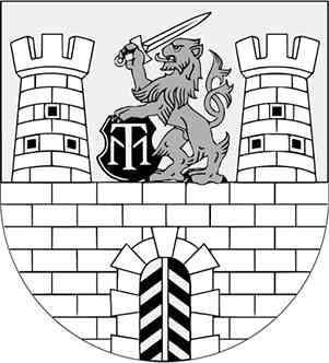 Иллюстрация к книге — Чешское время. Большая история маленькой страны: от святого Вацлава до Вацлава Гавела [i_017.jpg]