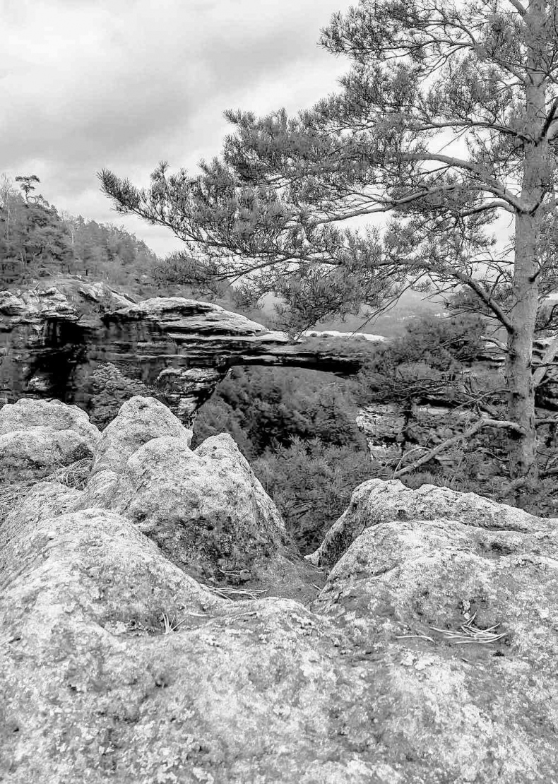 Иллюстрация к книге — Чешское время. Большая история маленькой страны: от святого Вацлава до Вацлава Гавела [i_033.jpg]