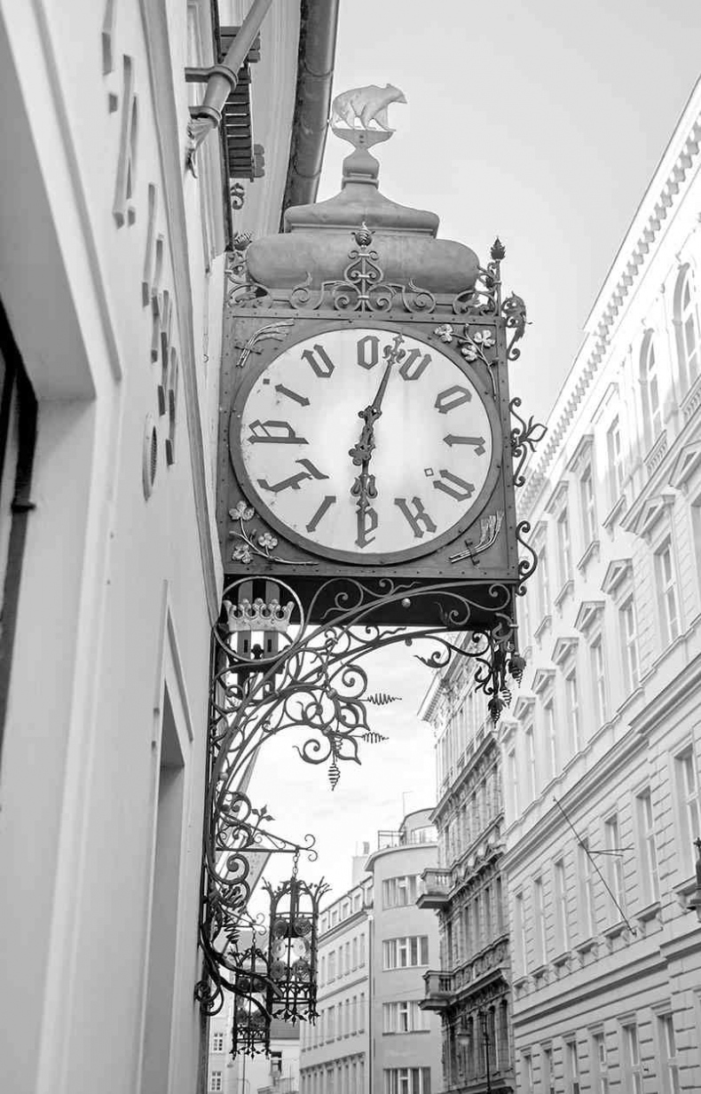 Иллюстрация к книге — Чешское время. Большая история маленькой страны: от святого Вацлава до Вацлава Гавела [i_038.jpg]