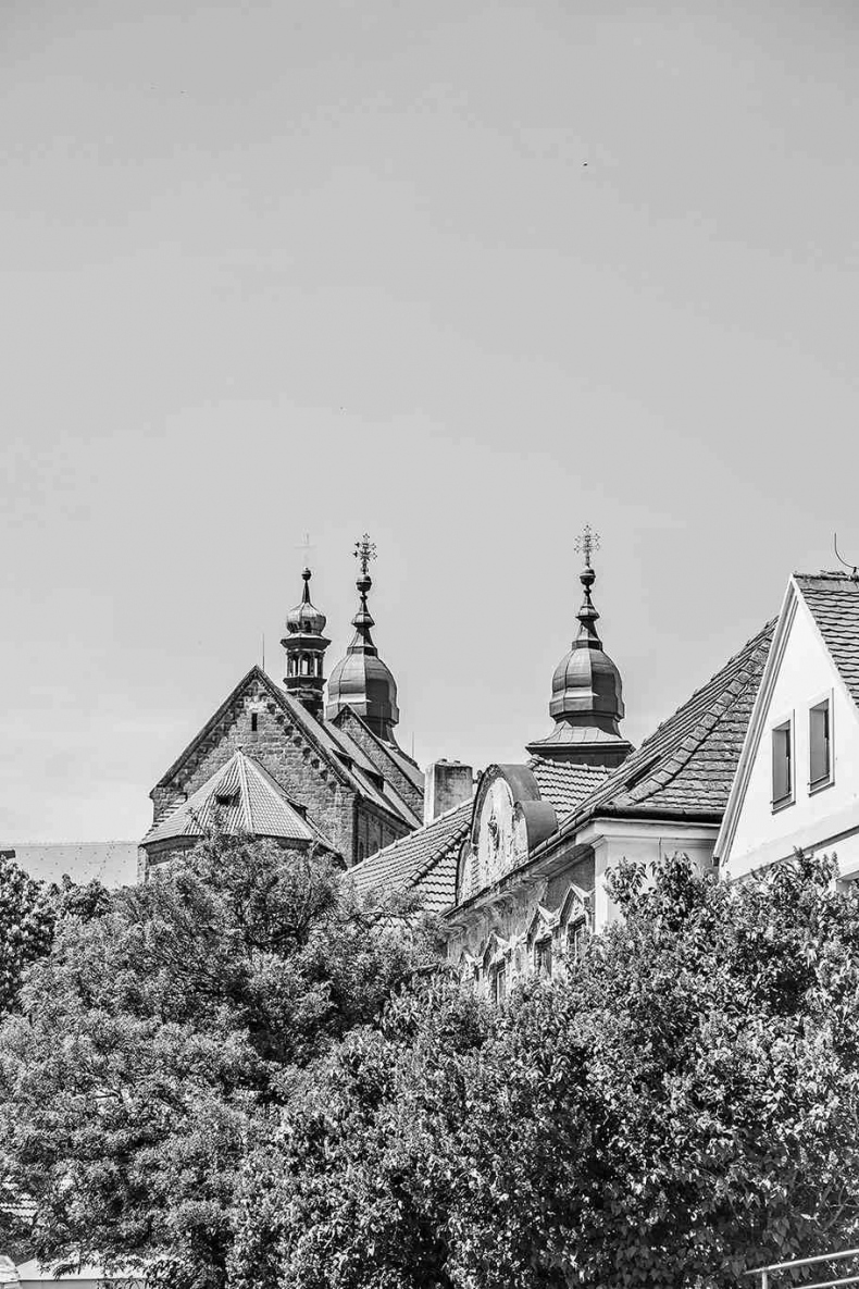 Иллюстрация к книге — Чешское время. Большая история маленькой страны: от святого Вацлава до Вацлава Гавела [i_063.jpg]