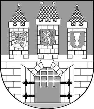 Иллюстрация к книге — Чешское время. Большая история маленькой страны: от святого Вацлава до Вацлава Гавела [i_115.jpg]