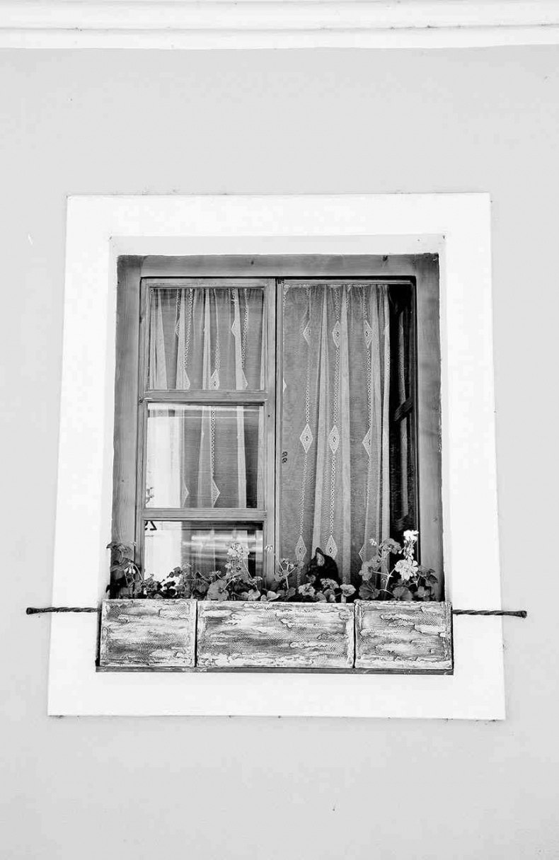 Иллюстрация к книге — Чешское время. Большая история маленькой страны: от святого Вацлава до Вацлава Гавела [i_152.jpg]