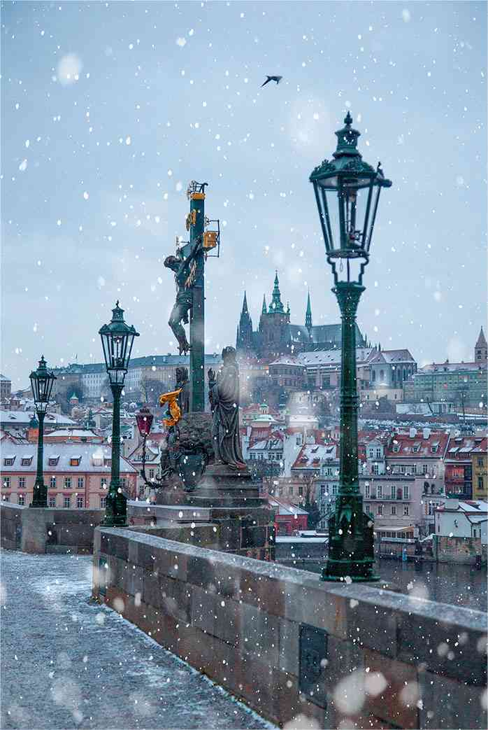 Иллюстрация к книге — Чешское время. Большая история маленькой страны: от святого Вацлава до Вацлава Гавела [i_189.jpg]