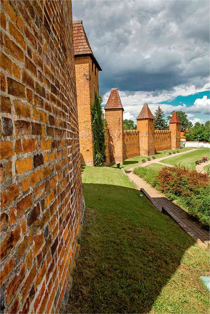 Иллюстрация к книге — Чешское время. Большая история маленькой страны: от святого Вацлава до Вацлава Гавела [i_194.jpg]