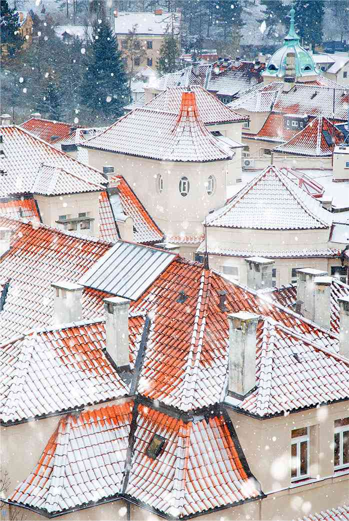 Иллюстрация к книге — Чешское время. Большая история маленькой страны: от святого Вацлава до Вацлава Гавела [i_197.jpg]