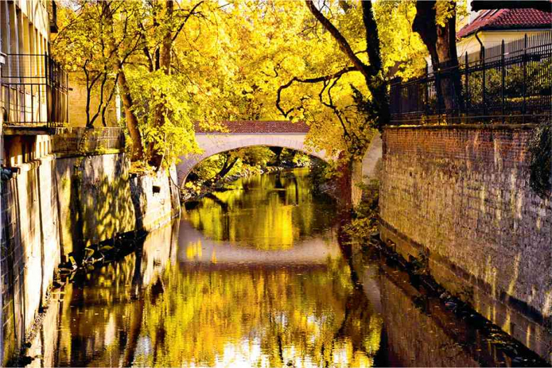 Иллюстрация к книге — Чешское время. Большая история маленькой страны: от святого Вацлава до Вацлава Гавела [i_217.jpg]