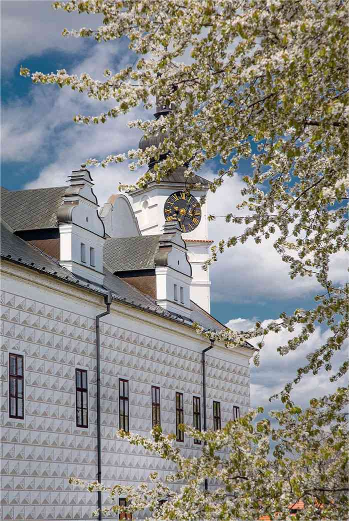 Иллюстрация к книге — Чешское время. Большая история маленькой страны: от святого Вацлава до Вацлава Гавела [i_229.jpg]