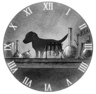 Иллюстрация к книге — Когда остановились часы [i_005.jpg]