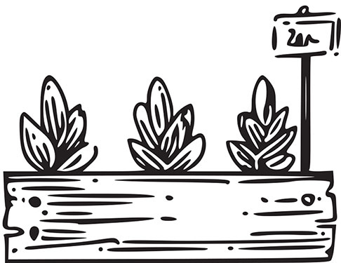 Иллюстрация к книге — Больше, чем 5 соток. Как на маленьком участке получить максимум урожая [i_001.jpg]