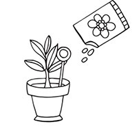 Иллюстрация к книге — Больше, чем 5 соток. Как на маленьком участке получить максимум урожая [i_002.jpg]