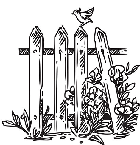 Иллюстрация к книге — Больше, чем 5 соток. Как на маленьком участке получить максимум урожая [i_006.jpg]