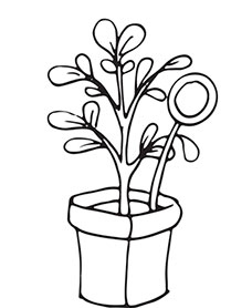 Иллюстрация к книге — Больше, чем 5 соток. Как на маленьком участке получить максимум урожая [i_012.jpg]