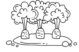 Иллюстрация к книге — Больше, чем 5 соток. Как на маленьком участке получить максимум урожая [i_019.jpg]