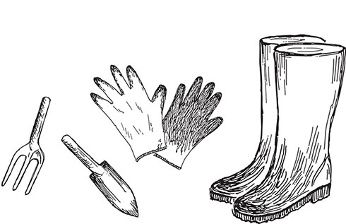 Иллюстрация к книге — Больше, чем 5 соток. Как на маленьком участке получить максимум урожая [i_023.jpg]