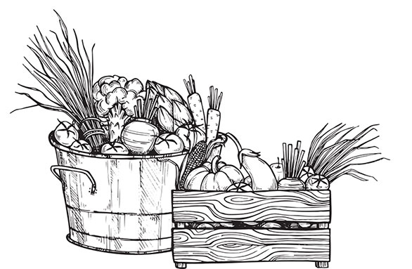 Иллюстрация к книге — Больше, чем 5 соток. Как на маленьком участке получить максимум урожая [i_034.jpg]