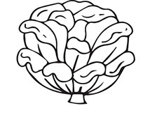 Иллюстрация к книге — Больше, чем 5 соток. Как на маленьком участке получить максимум урожая [i_037.jpg]