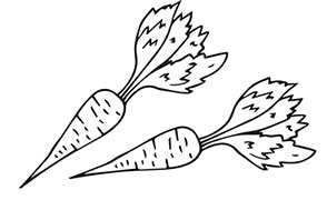 Иллюстрация к книге — Больше, чем 5 соток. Как на маленьком участке получить максимум урожая [i_040.jpg]