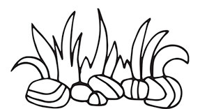 Иллюстрация к книге — Больше, чем 5 соток. Как на маленьком участке получить максимум урожая [i_042.jpg]