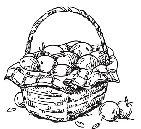 Иллюстрация к книге — Больше, чем 5 соток. Как на маленьком участке получить максимум урожая [i_047.jpg]