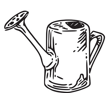 Иллюстрация к книге — Больше, чем 5 соток. Как на маленьком участке получить максимум урожая [i_055.jpg]