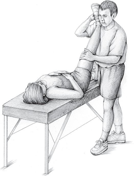 Иллюстрация к книге — Анатомия стретчинга [i_018.jpg]