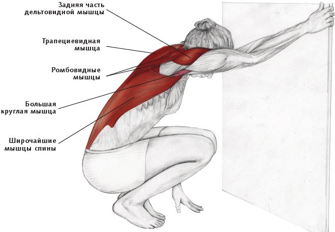 Иллюстрация к книге — Анатомия стретчинга [i_066.jpg]