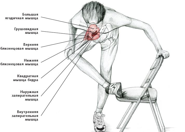 Иллюстрация к книге — Анатомия стретчинга [i_090.jpg]